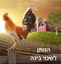 4a9d9f7a-dc69-444e-b359-a3a72f817ab5-thumbnail image