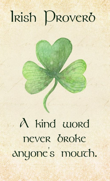 81e1a31e-0bd3-4985-af45-57b3189ad903 image