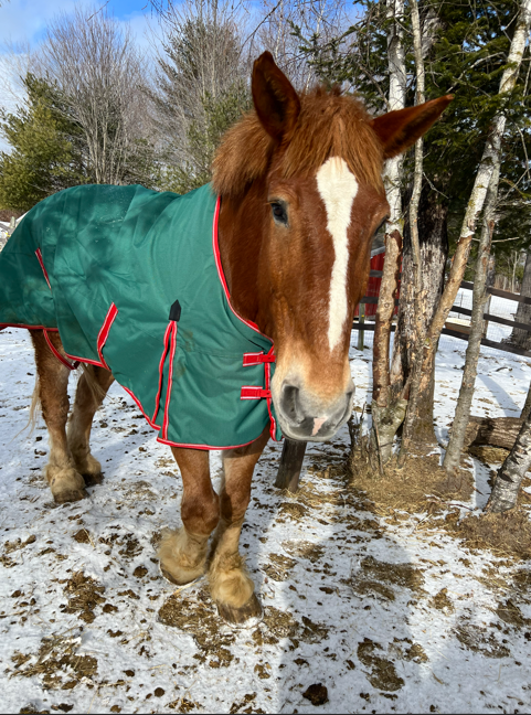 930620f9-94a7-48fd-8e5d-0a8fb2690ec0 image