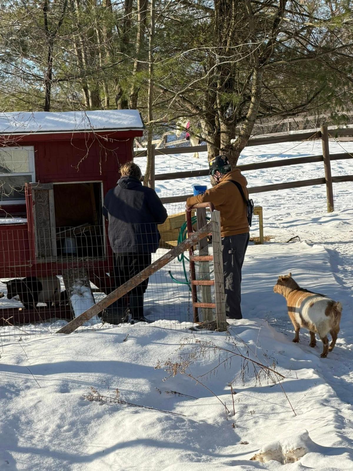 a27b3417-67bb-41de-a351-9371f13dd4a3 image