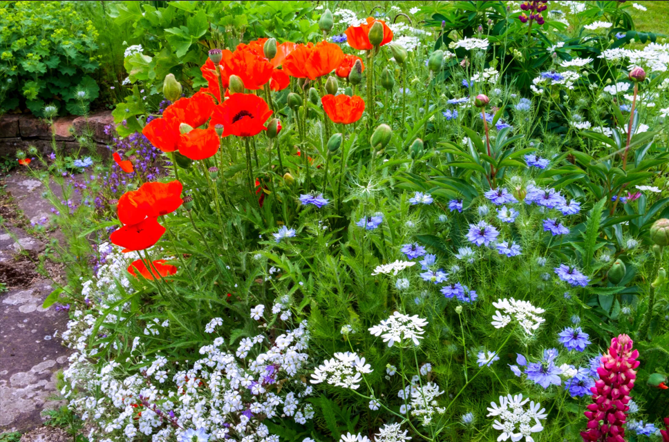 bfd8496d-5cbe-460a-8b61-4c2f959a85d6 image