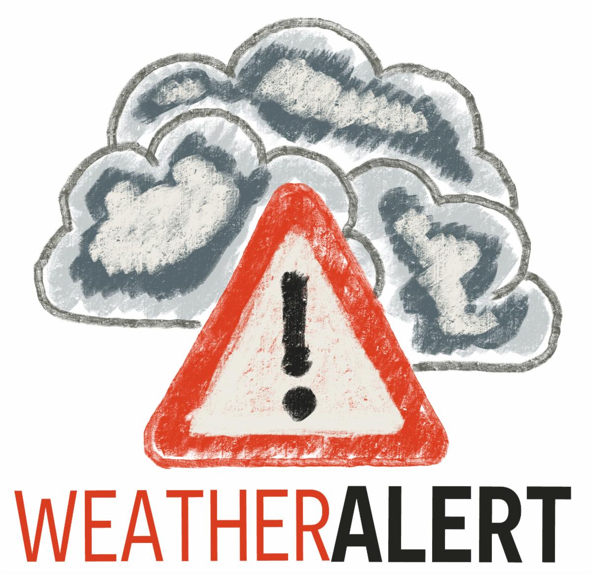 697c418c-f1b0-4b62-a3e6-ce26ed9d2ba6 image