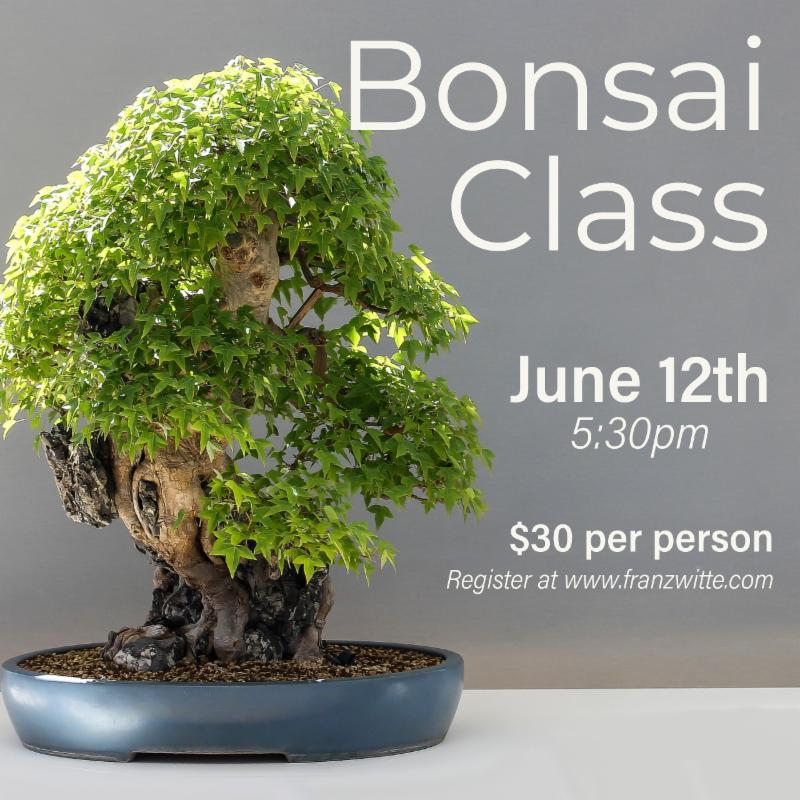 Bonsai Class