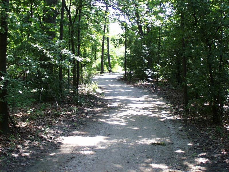 Trail at W.W. Knight