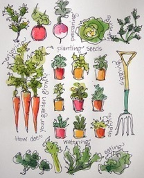 Vegetable Gardening 101 All You Need To Know