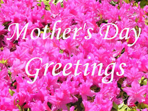 Wholesale Mothers Day Cards