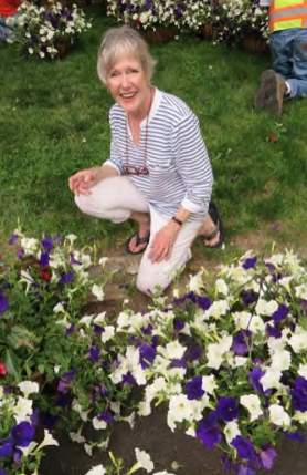 Libby hanging baskets