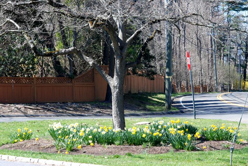 Oenoke and West triangle