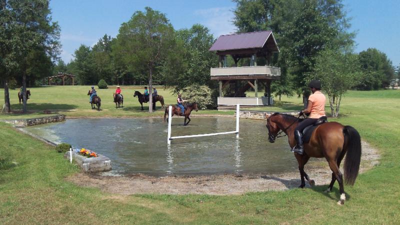 Perfect Partners Equine Trail Horse Retreat