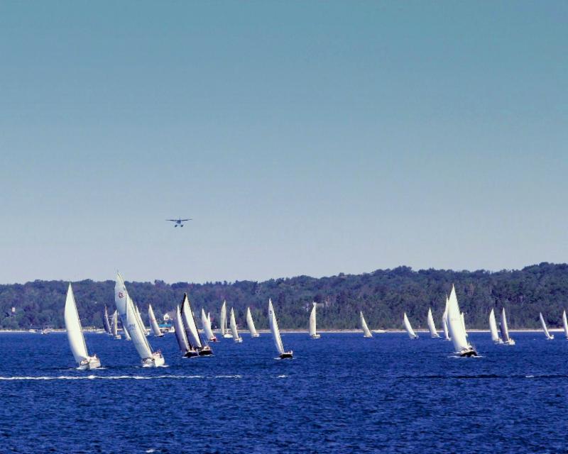 Red Fox Regatta