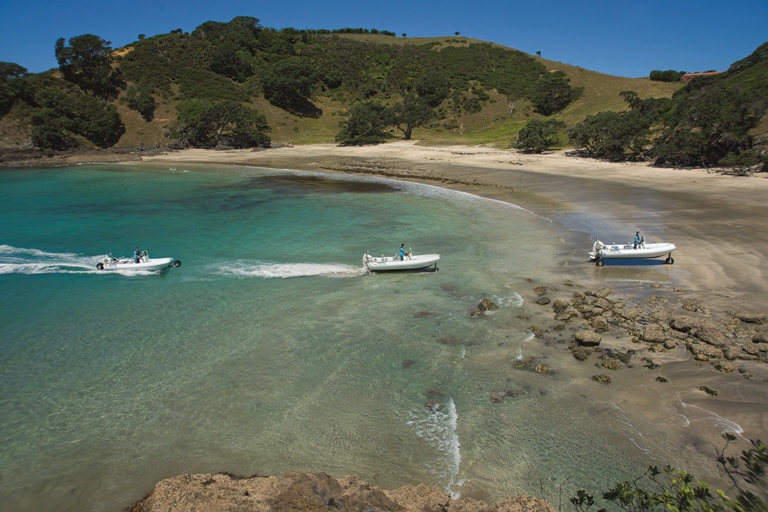 Sealegs