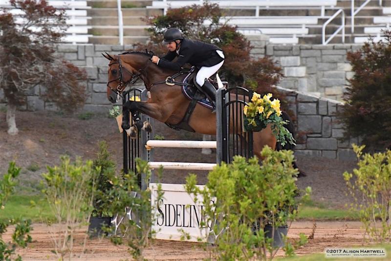 The Classic Company Ltd.