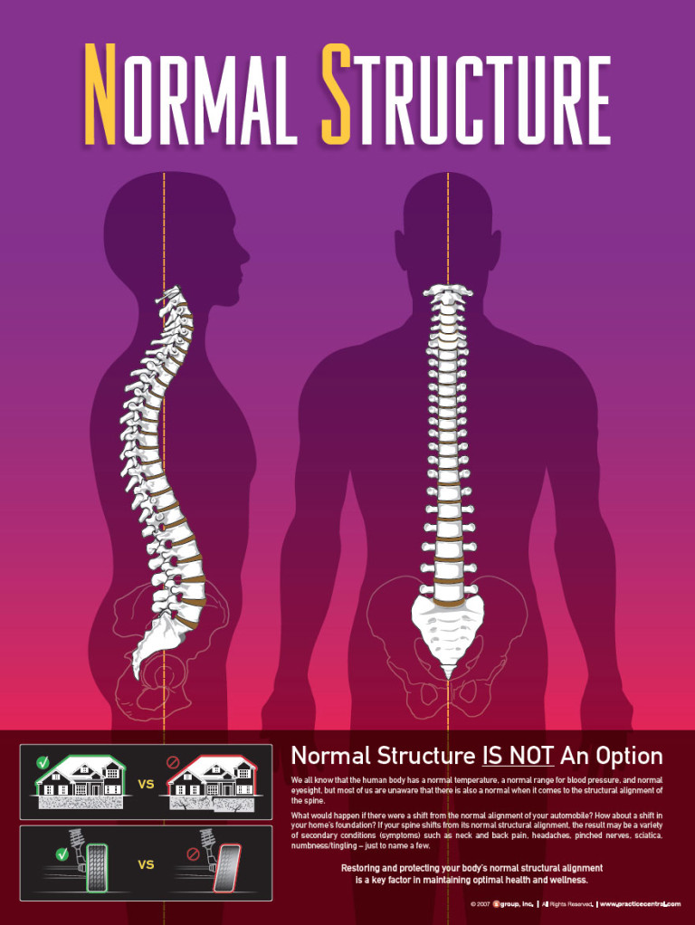 what normal structure looks like