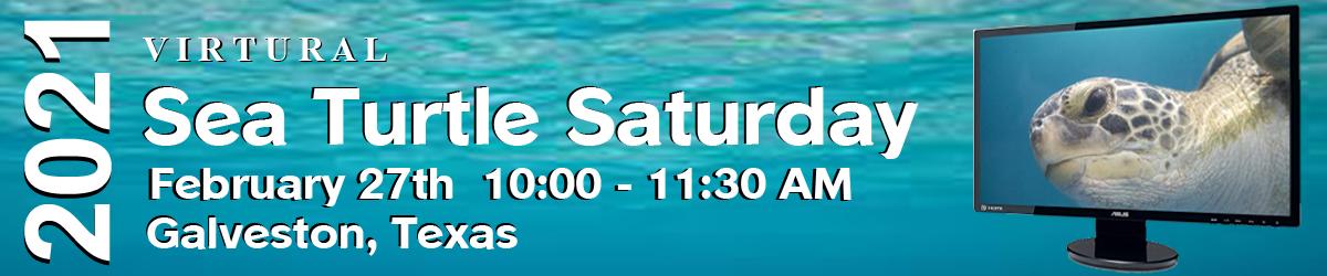 2021 Sea Turtle Saturday 2021 Sea Turtle Saturday