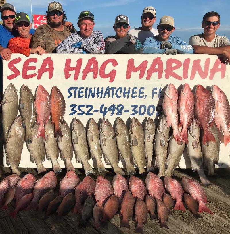 Scallop Season Opens June 16th in Steinhatchee!