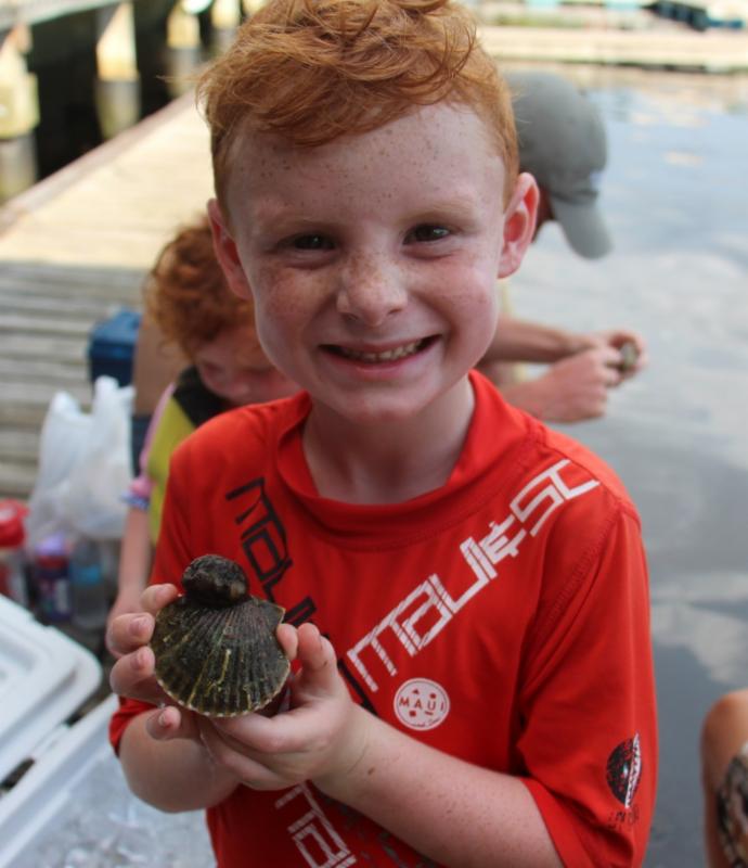 Scallops Are Still Plentiful And Fishing Is Picking Up