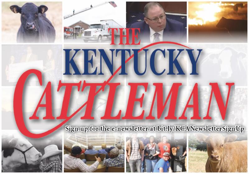 The Kentucky Cattleman Newsletter
