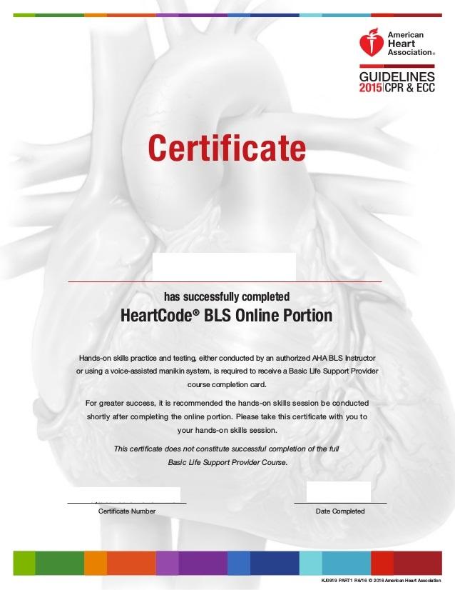 Skills Session for BLS Heartcode December 11