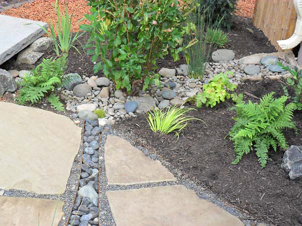 rain garden landscaping