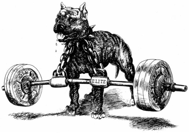 Deadlift The Forgotten Weapon Westside Barbell Newsletter