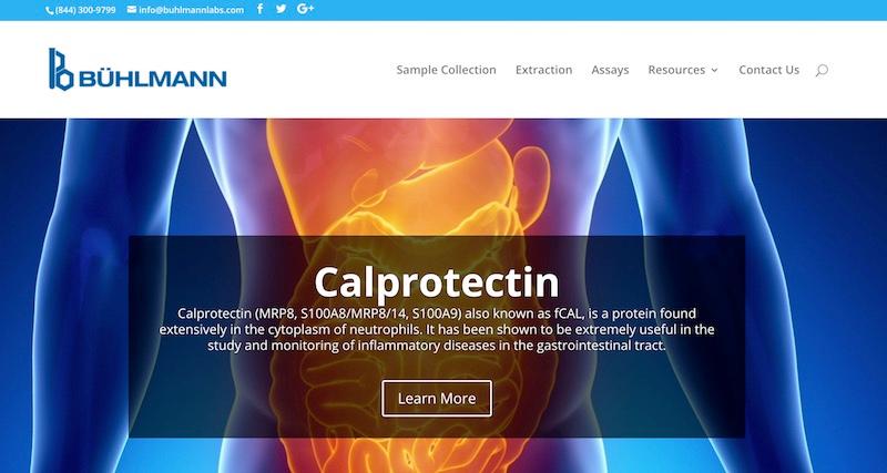 insert alt text here