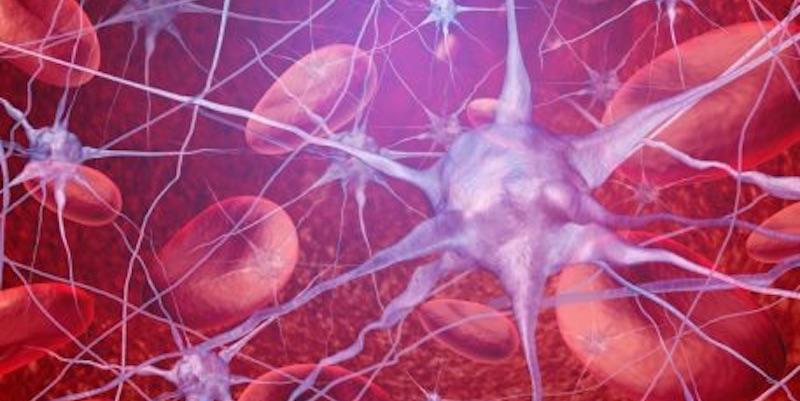 insert alt text here