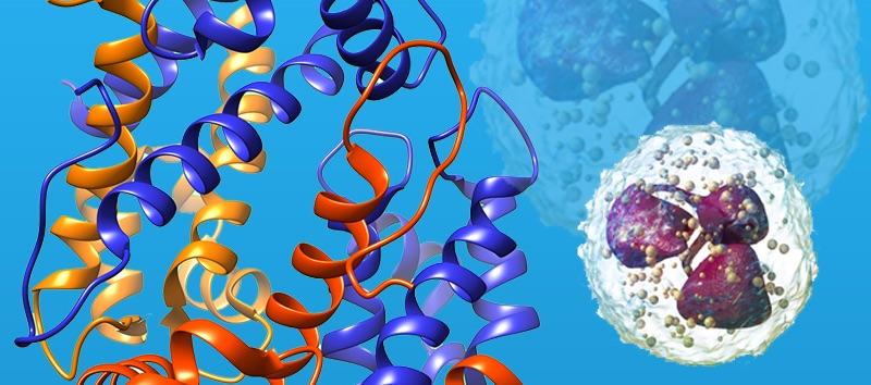 insert alt text here