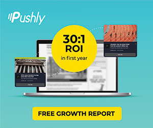 pushly-300x250_1_.jpg