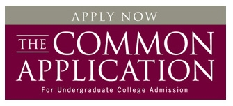 Common App 2019-20 Essay Prompts- Expert College Advising ...