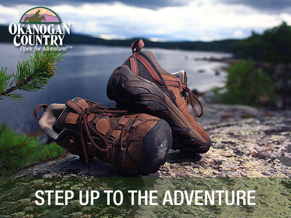 Step up to the Adventure!