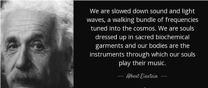 Dewa races to 11th out of 68 racers to continue Undefeated streak!