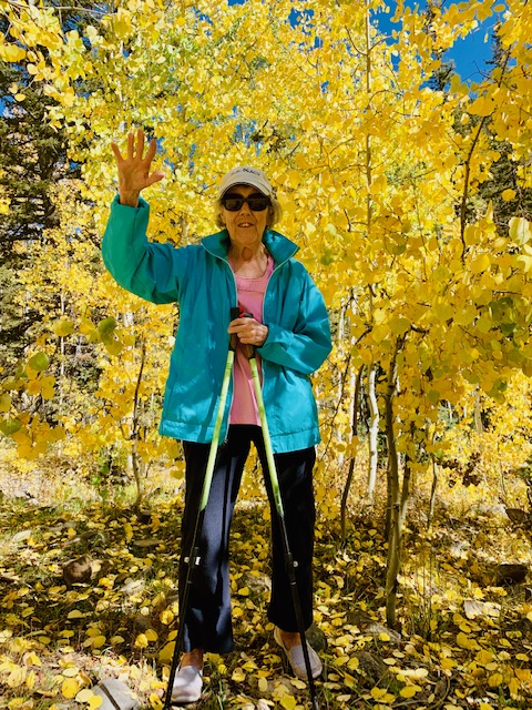 abhyasa-vairagyabhyam-tat-nirodhah….