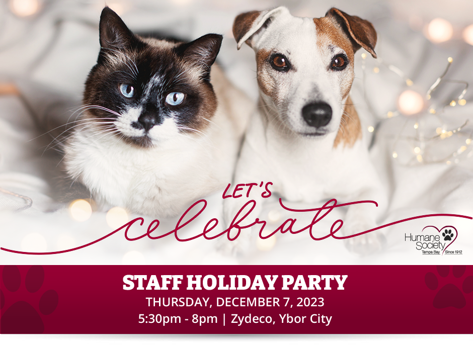 HSTB Staff Holiday Party