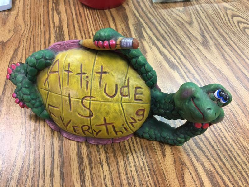 Silveridge Various Activities