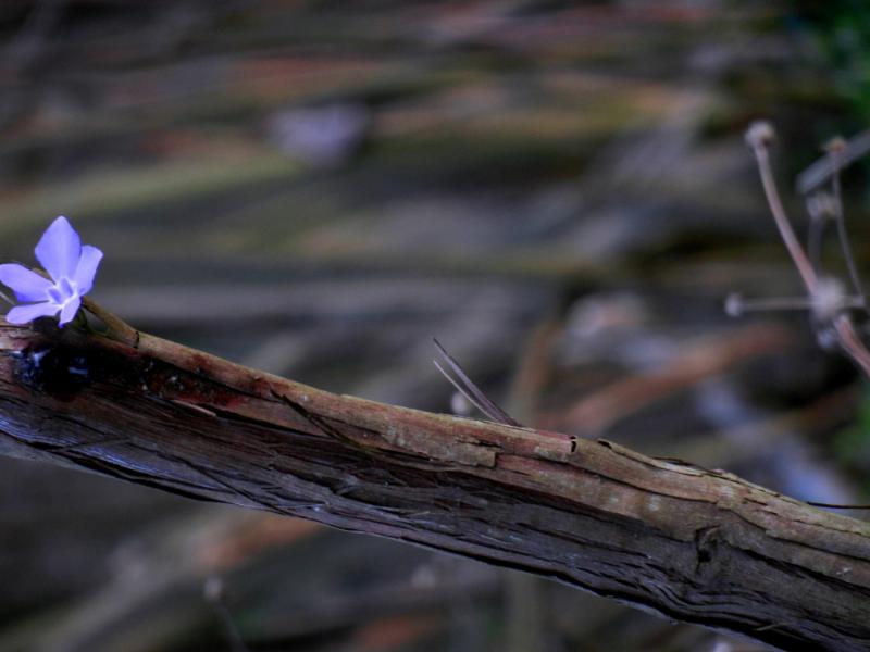 Postvention, It's About Time & The Fruits of Trauma? Posttraumatic