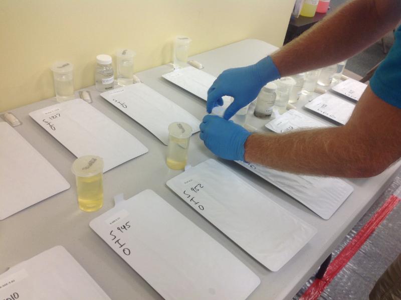 Citizen Science Translating Science Into Action For Long Island Sound citizen-science-translating-science-into-action-for-long-island-sound