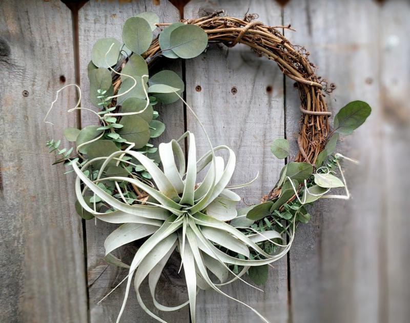 Eucalyptus & Air Plant Wreath Eucalyptus & Air Plant Wreath