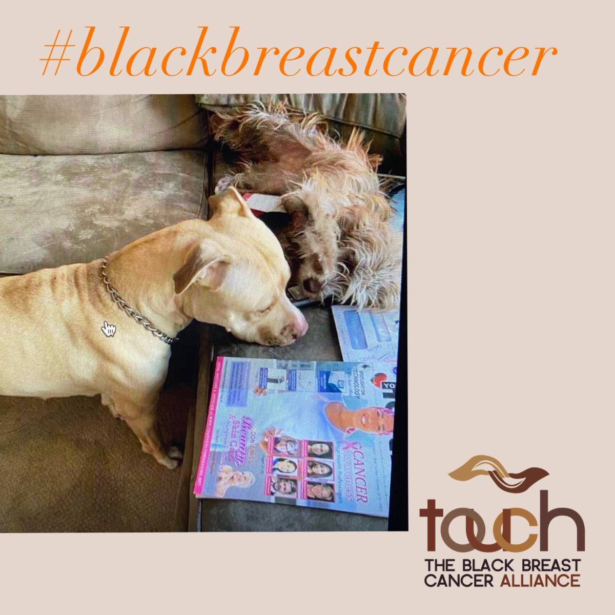 #blackbreastcancer