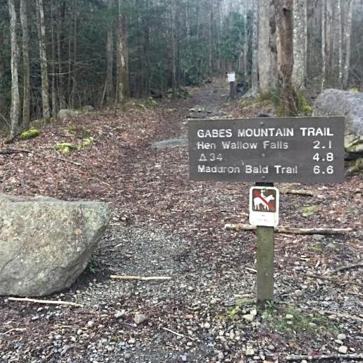 Gabes Mountain Trail Cosby, Tennessee