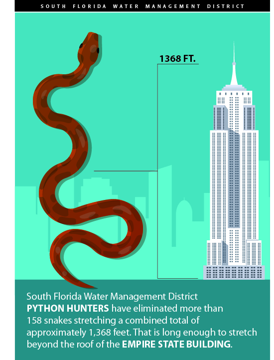 SFWMD Python Elimination Program Grows Bigger And More Aggressive With ...