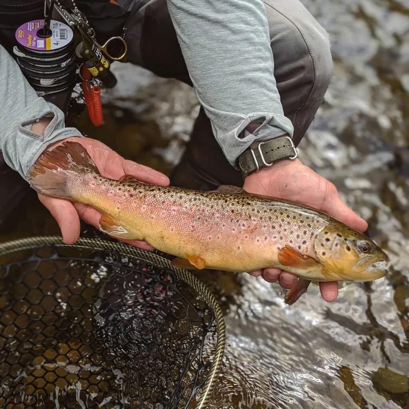 Catskills Fly Fishing and Wingshooting Presentation 6/3/23