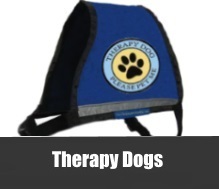 Therapy Dog Supplies