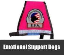 Emotional Support Dog Supplies