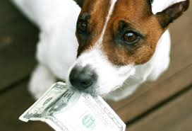 working service dog coupon