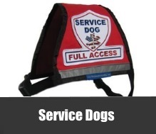 service dog supplies
