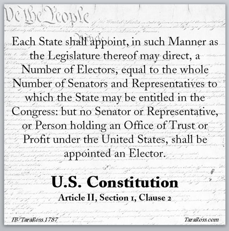 an overview of how the electoral college functions The electoral college overview in this lesson, students will examine the purpose, function, origin, and historical development of the electoral. an overview of how the electoral college functions The electoral college overview in this lesson, students will examine the purpose, function, origin, and historical development of the electoral.