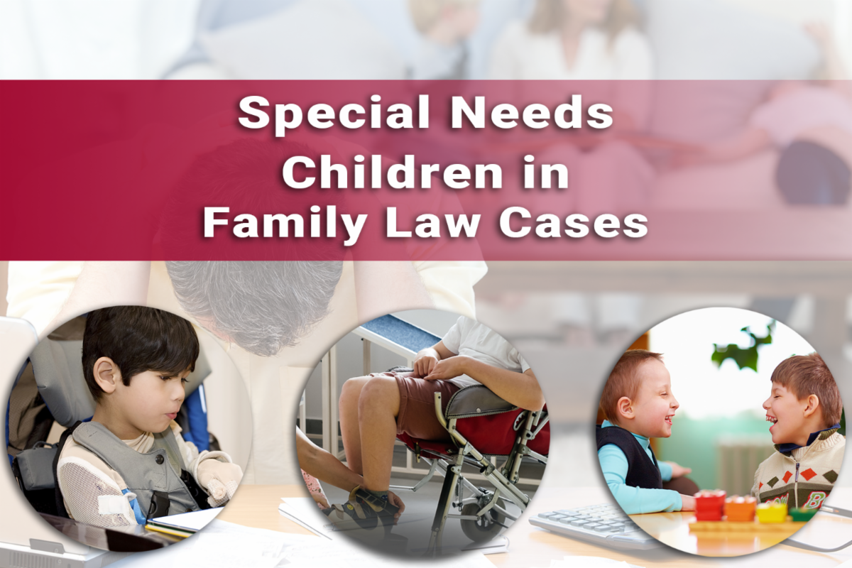 Special Needs Children in Family Law Cases HalfDay inar By Wendy Velez