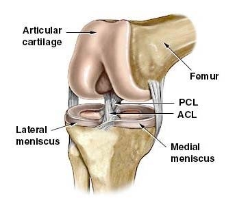 Ligament Injuries Sydney, NSW, ACL, MCL, PCL Tear Randwick