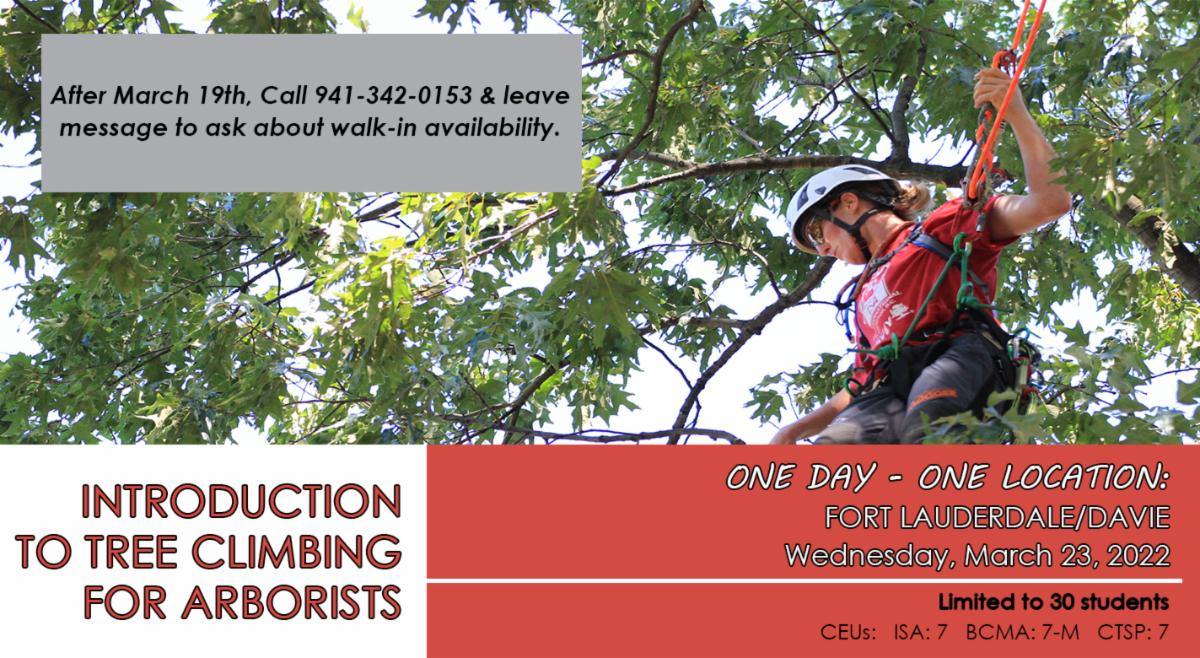 Introduction to Tree Climbing for Arborists