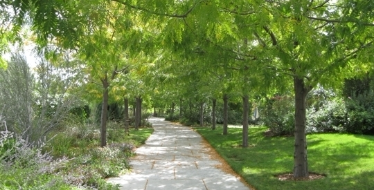 Treeutah Scavenger Hunt At Conservation Garden Park